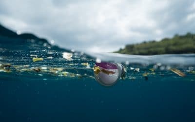 De onde vem o plástico que vai parar aos oceanos?