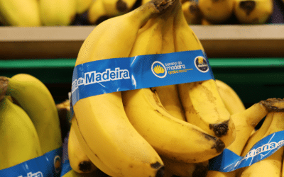 Banana da Madeira sem plástico, obrigado