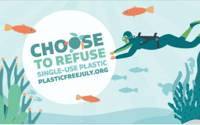 Desafio: um mês sem plástico descartável