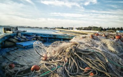 E se as redes de pesca fossem biodegradáveis?