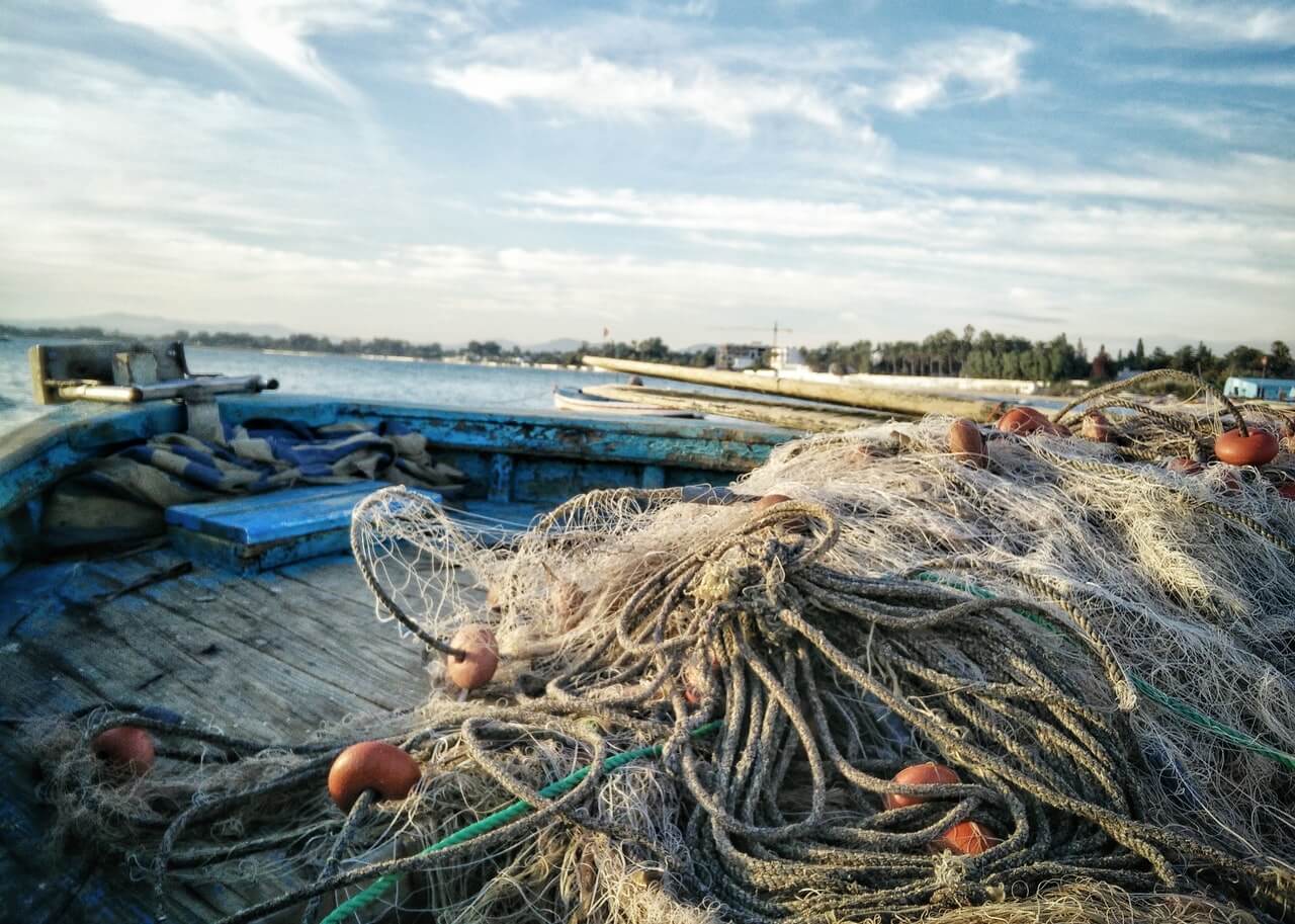 redes de pesca biodegradáveis Universidade de Coimbra