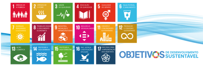 17 Objetivos de Desenvolvimento Sustentável