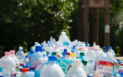“Do Velho se Faz Novo” 3.0: devolver garrafas de plástico vale pontos e prémios