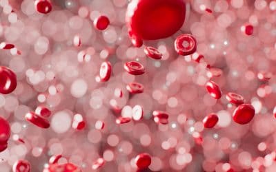 Sangue humano: plasma, plaquetas e microplásticos? 