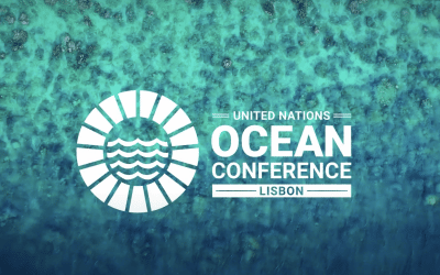 Conferência dos Oceanos: o que esperar?