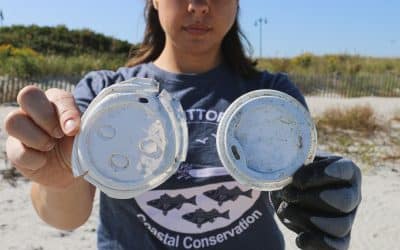 Limpeza costeira – uma missão a longo prazo