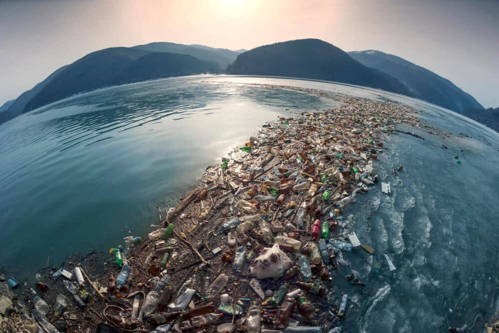 Mancha de lixo do Pacífico está a alimentar um novo ecossistema  