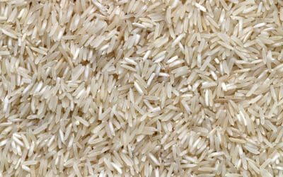 Adeus plástico nas embalagens de arroz Continente