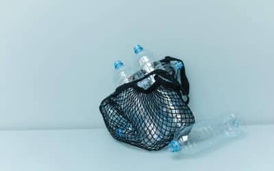 Novos desenvolvimentos na implementação do depósito de garrafas de plástico
