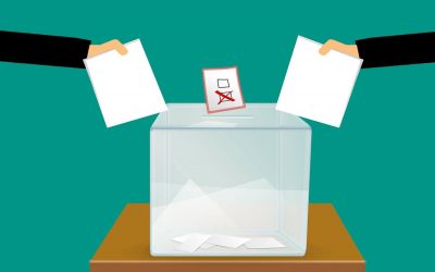 Eleições 2024: O que defendem os partidos em termos de sustentabilidade ambiental?