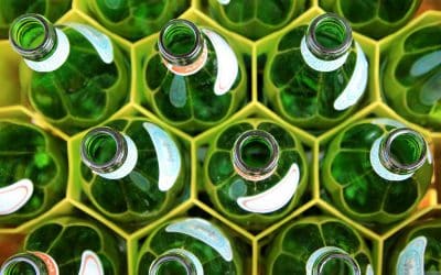 Portugal começou a reciclar vidro há 40 anos – tudo sobre a recolha deste material