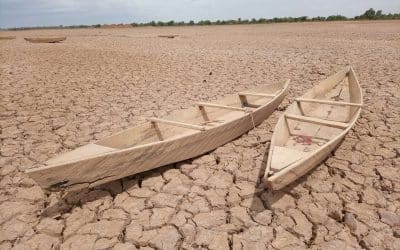 O silencioso perigo da seca: já afeta um quarto da humanidade