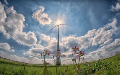 Os 7 tipos de energia renovável – 5 dos quais utilizados em Portugal