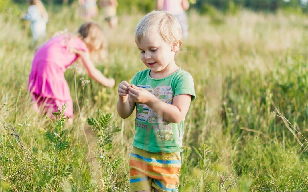Verão à espreita: 5 projetos de educação ambiental para crianças nas férias